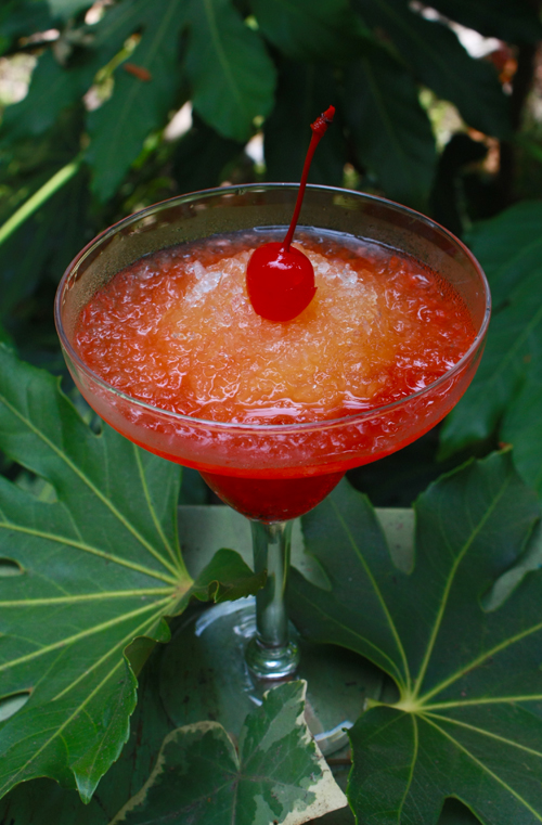 Post image for Mai Tai Snow Cones