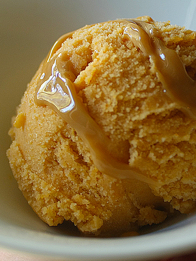 Post image for Pumpkin Bourbon Dulce Le Leche Sherbet from Today Show Halloween Segment